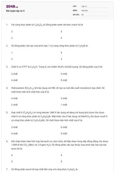 Bài luyện tập số 4