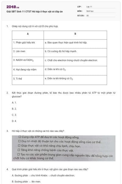 Giải SBT Sinh 11 CTST Hô hấp ở thực vật có đáp án