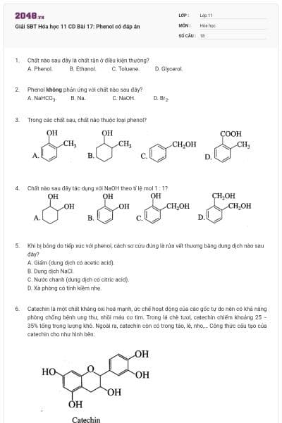 Giải SBT Hóa học 11 CD Bài 17: Phenol có đáp án