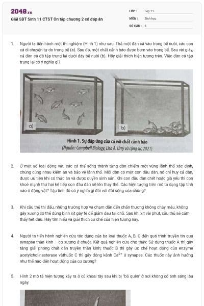 Giải SBT Sinh 11 CTST Ôn tập chương 2 có đáp án