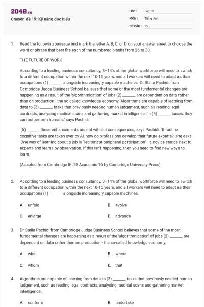 Chuyên đề 19: Kỹ năng đọc hiểu