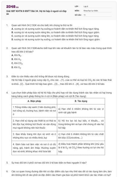 Giải SBT KHTN 8 KNTT Bài 34. Hệ hô hấp ở người có đáp án