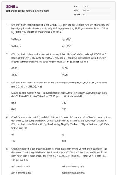 Đốt amino axit kết hợp tác dụng với bazơ