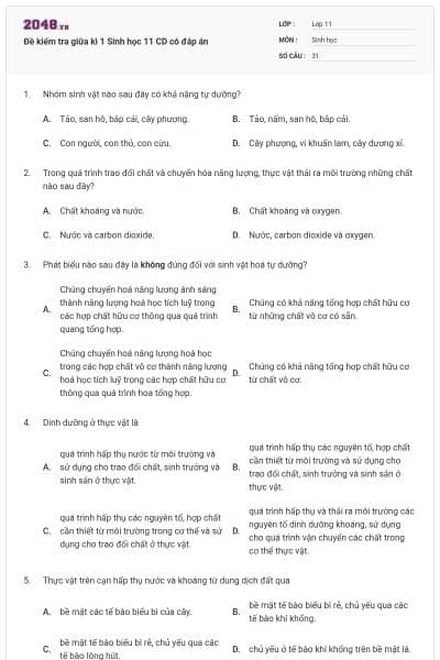 Đề kiểm tra giữa kì 1 Sinh học 11 CD có đáp án