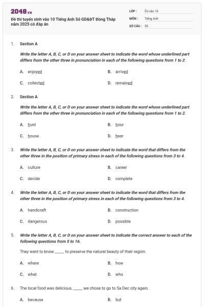 Đề thi tuyển sinh vào 10 Tiếng Anh Sở GD&ĐT Đồng Tháp năm 2025 có đáp án