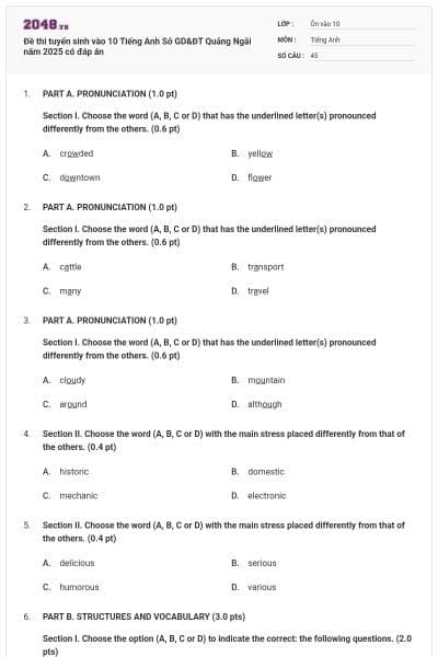 Đề thi tuyển sinh vào 10 Tiếng Anh Sở GD&ĐT Quảng Ngãi năm 2025 có đáp án