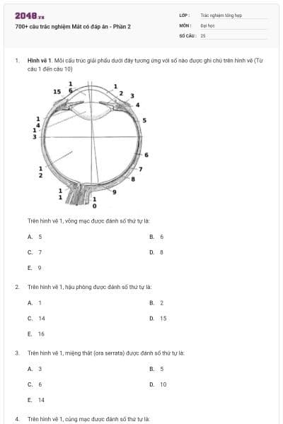 700+ câu trắc nghiệm Mắt có đáp án - Phần 2