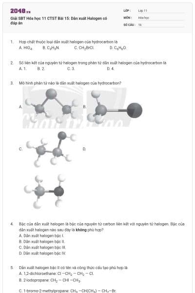 Giải SBT Hóa học 11 CTST Bài 15: Dẫn xuất Halogen có đáp án