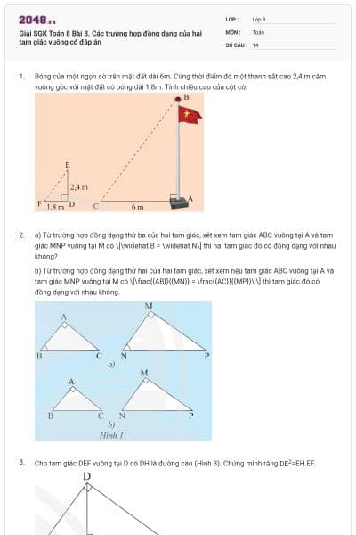 Giải SGK Toán 8 Bài 3. Các trường hợp đồng dạng của hai tam giác vuông có đáp án