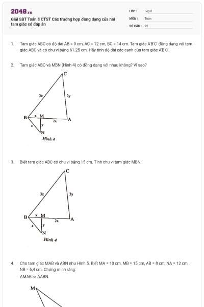 Giải SBT Toán 8 CTST Các trường hợp đồng dạng của hai tam giác có đáp án
