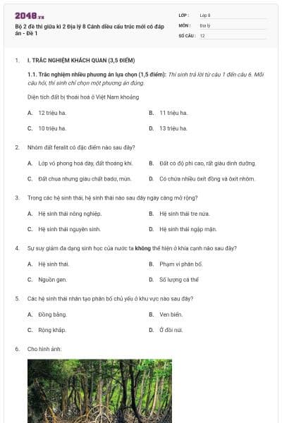 Bộ 2 đề thi giữa kì 2 Địa lý 8 Cánh diều cấu trúc mới có đáp án - Đề 1