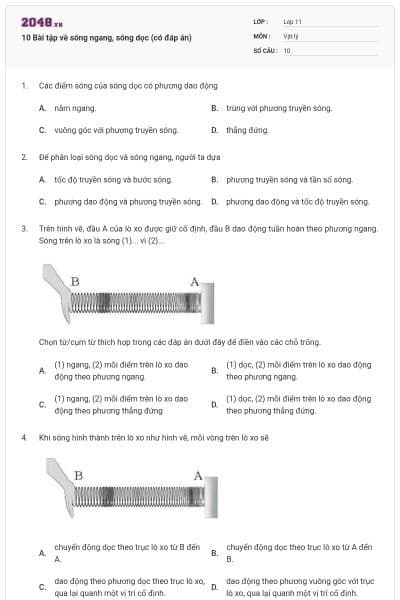 10 Bài tập về sóng ngang, sóng dọc (có đáp án)