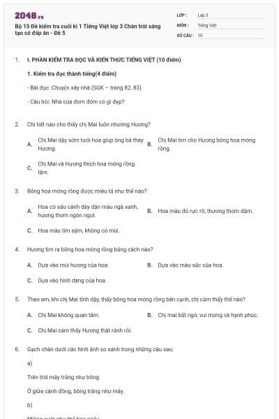 Bộ 15 Đề kiểm tra cuối kì 1 Tiếng Việt lớp 3 Chân trời sáng tạo có đáp án - Đề 5