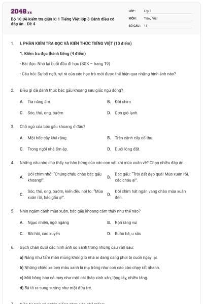 Bộ 10 Đề kiểm tra giữa kì 1 Tiếng Việt lớp 3 Cánh diều có đáp án - Đề 4