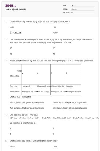 20 BÀI TẬP LÝ THUYẾT