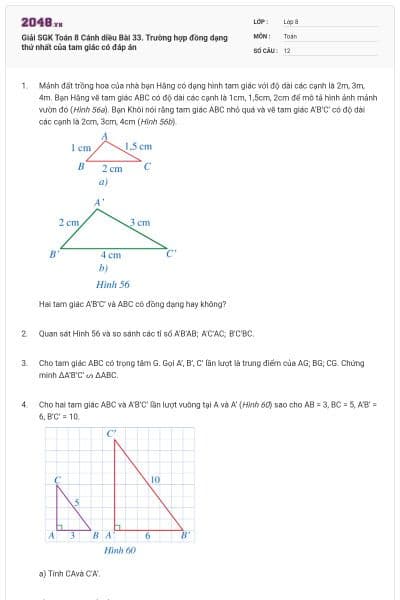 Giải SGK Toán 8 Cánh diều Bài 33. Trường hợp đồng dạng thứ nhất của tam giác có đáp án