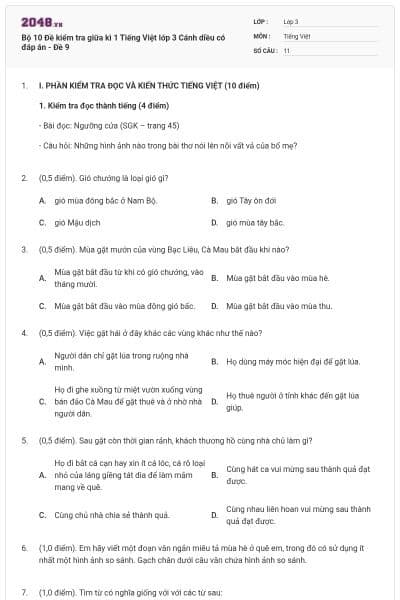 Bộ 10 Đề kiểm tra giữa kì 1 Tiếng Việt lớp 3 Cánh diều có đáp án - Đề 9