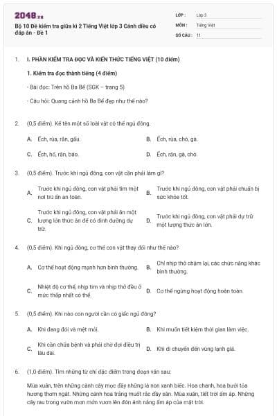 Bộ 10 Đề kiểm tra giữa kì 2 Tiếng Việt lớp 3 Cánh diều có đáp án - Đề 1