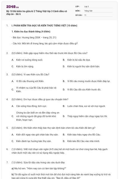 Bộ 10 Đề kiểm tra giữa kì 2 Tiếng Việt lớp 3 Cánh diều có đáp án - Đề 6