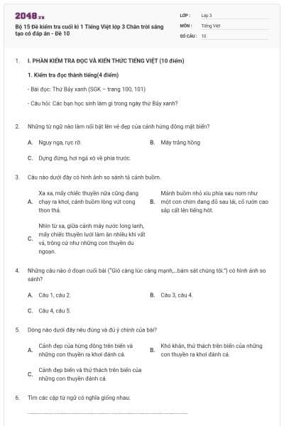 Bộ 15 Đề kiểm tra cuối kì 1 Tiếng Việt lớp 3 Chân trời sáng tạo có đáp án - Đề 10