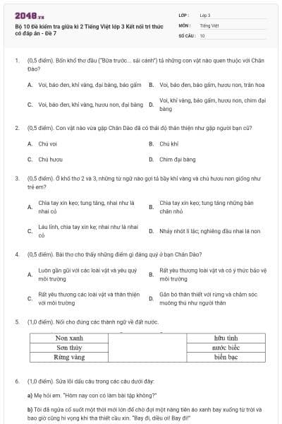 Bộ 10 Đề kiểm tra giữa kì 2 Tiếng Việt lớp 3 Kết nối tri thức có đáp án - Đề 7