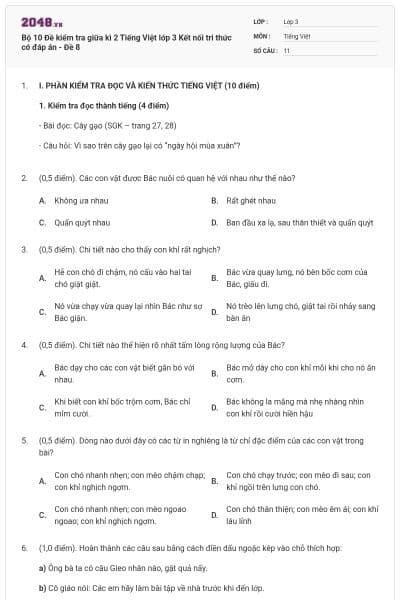 Bộ 10 Đề kiểm tra giữa kì 2 Tiếng Việt lớp 3 Kết nối tri thức có đáp án - Đề 8