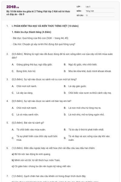 Bộ 10 Đề kiểm tra giữa kì 2 Tiếng Việt lớp 3 Kết nối tri thức có đáp án - Đề 9