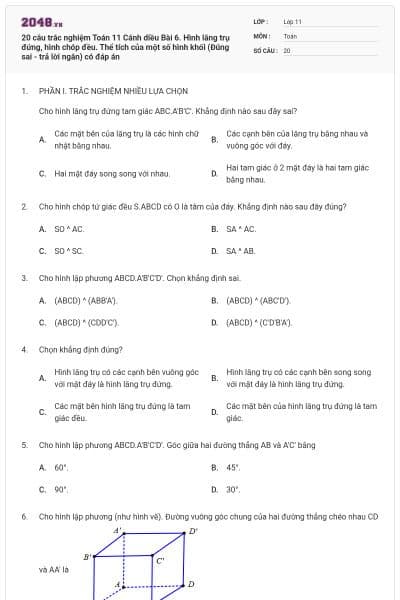 20 câu trắc nghiệm Toán 11 Cánh diều Bài 6. Hình lăng trụ đứng, hình chóp đều. Thể tích của một số hình khối (Đúng sai - trả lời ngắn) có đáp án