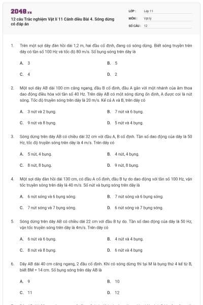 12 câu Trắc nghiệm Vật lí 11 Cánh diều Bài 4. Sóng dừng có đáp án