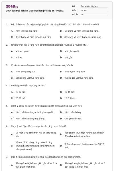 200+ câu trắc nghiệm Giải phẫu răng có đáp án - Phần 2