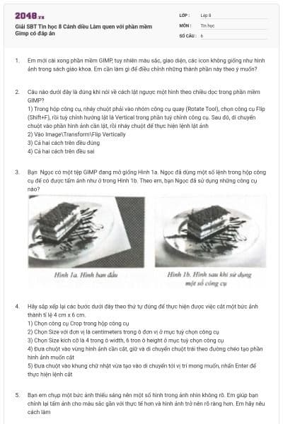 Giải SBT Tin học 8 Cánh diều Làm quen với phần mềm Gimp có đáp án