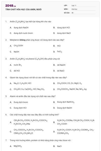 TÍNH CHẤT HÓA HỌC CỦA AMIN, MUỐI