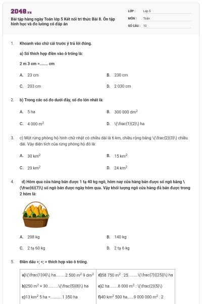 Bài tập hàng ngày Toán lớp 5 Kết nối tri thức Bài 8. Ôn tập hình học và đo lường có đáp án