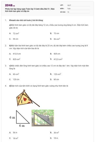 Phiếu bài tập hàng ngày Toán lớp 5 Cánh diều Bài 51. Diện tích hình tam giác có đáp án