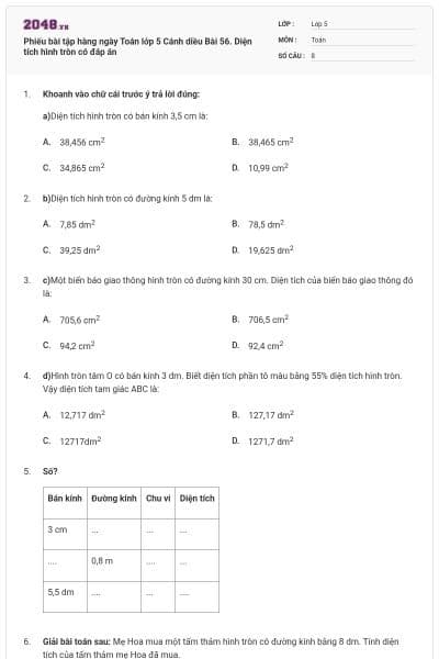 Phiếu bài tập hàng ngày Toán lớp 5 Cánh diều Bài 56. Diện tích hình tròn có đáp án