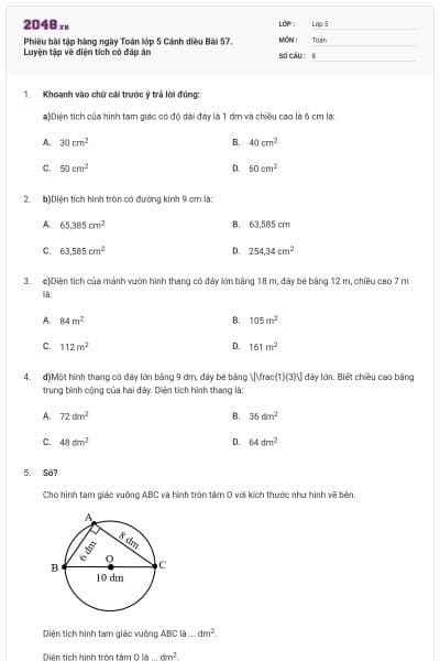 Phiếu bài tập hàng ngày Toán lớp 5 Cánh diều Bài 57. Luyện tập về diện tích có đáp án