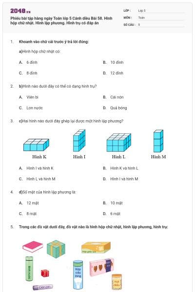 Phiếu bài tập hàng ngày Toán lớp 5 Cánh diều Bài 58. Hình hộp chữ nhật. Hình lập phương. Hình trụ có đáp án