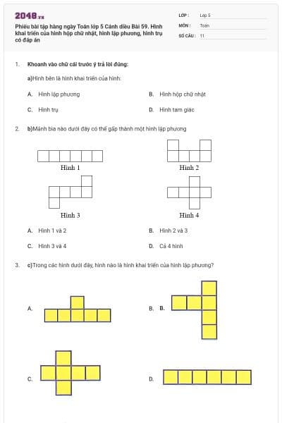 Phiếu bài tập hàng ngày Toán lớp 5 Cánh diều Bài 59. Hình khai triển của hình hộp chữ nhật, hình lập phương, hình trụ có đáp án