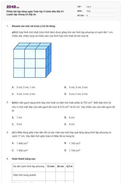 Phiếu bài tập hàng ngày Toán lớp 5 Cánh diều Bài 61. Luyện tập chung có đáp án