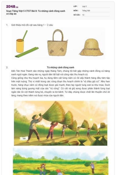 Soạn Tiếng Việt 5 CTST Bài 8: Từ những cánh đồng xanh có đáp án