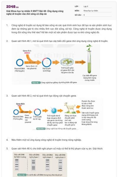 Giải Khoa học tự nhiên 9 KNTT Bài 48: Ứng dụng công nghệ di truyền vào đời sống có đáp án