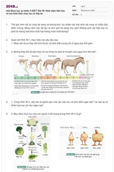 Giải Khoa học tự nhiên 9 KNTT Bài 49: Khái niệm tiến hóa và các hình thức chọn lọc có đáp án