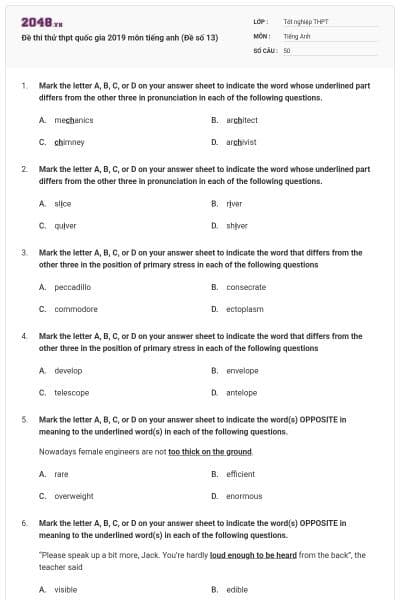 Đề thi thử thpt quốc gia 2019 môn tiếng anh (Đề số 13)