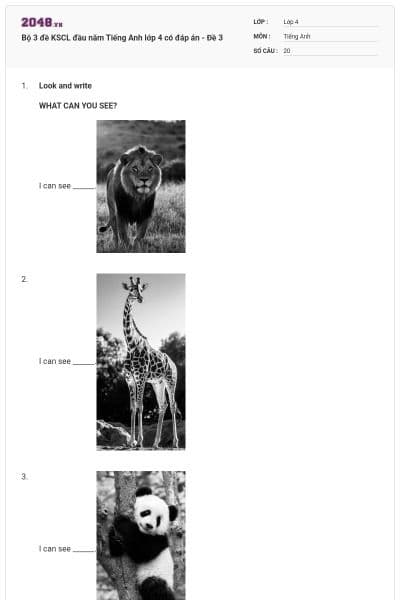 Bộ 3 đề KSCL đầu năm Tiếng Anh lớp 4 có đáp án - Đề 3