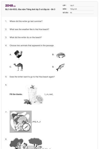 Bộ 3 đề KSCL đầu năm Tiếng Anh lớp 5 có đáp án - Đề 3