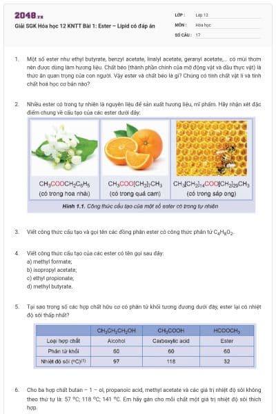 Giải SGK Hóa học 12 KNTT Bài 1: Ester – Lipid có đáp án