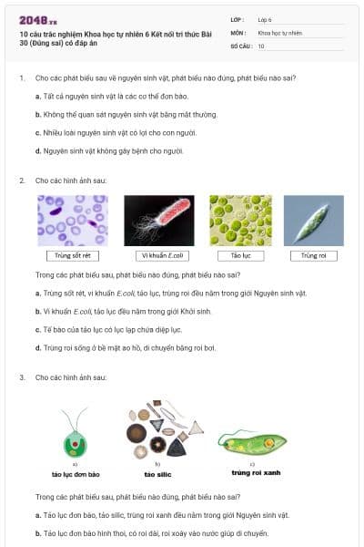 10 câu trắc nghiệm Khoa học tự nhiên 6 Kết nối tri thức Bài 30 (Đúng sai) có đáp án