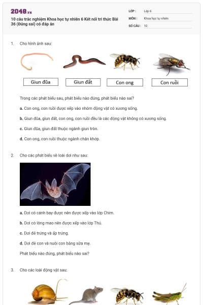 10 câu trắc nghiệm Khoa học tự nhiên 6 Kết nối tri thức Bài 36 (Đúng sai) có đáp án