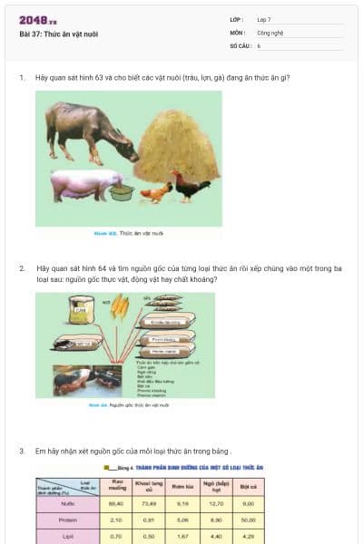 Bài 37: Thức ăn vật nuôi