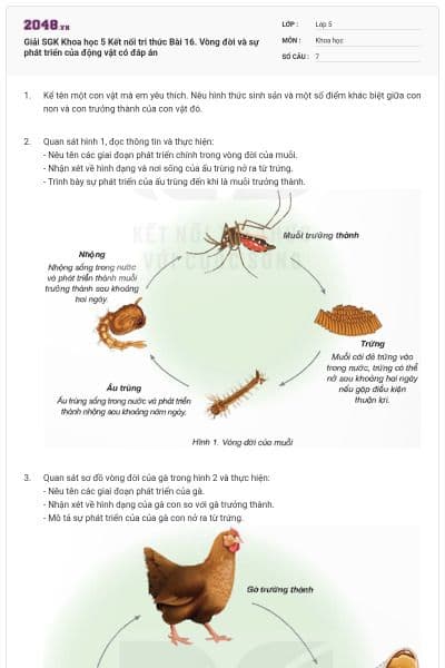 Giải SGK Khoa học 5 Kết nối tri thức Bài 16. Vòng đời và sự phát triển của động vật có đáp án